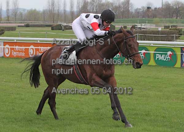 Azzato Vogt S 1 prot